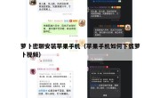 萝卜密聊安装苹果手机（苹果手机如何下载萝卜视频）