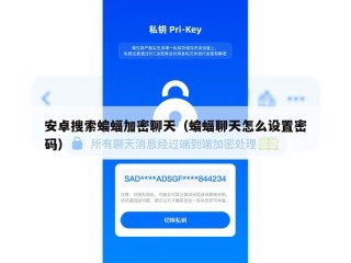 安卓搜索蝙蝠加密聊天（蝙蝠聊天怎么设置密码）