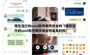 现在流行的soul软件聊天安全吗（现在流行的soul软件聊天安全吗是真的吗）