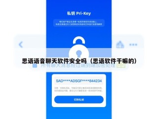 思语语音聊天软件安全吗（思语软件干嘛的）