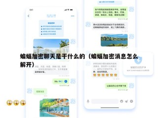 蝙蝠加密聊天是干什么的（蝙蝠加密消息怎么解开）