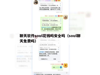 聊天软件soul花钱吗安全吗（soul聊天免费吗）