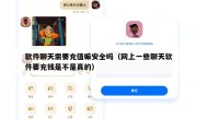 软件聊天需要充值嘛安全吗（网上一些聊天软件要充钱是不是真的）