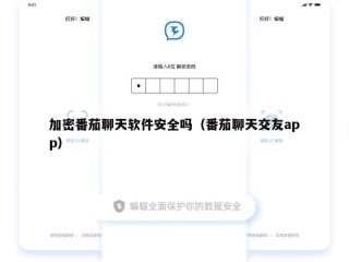 加密番茄聊天软件安全吗（番茄聊天交友app）
