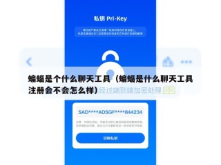 蝙蝠是个什么聊天工具（蝙蝠是什么聊天工具注册会不会怎么样）