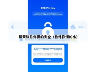 聊天软件你懂的安全（软件你懂的小）