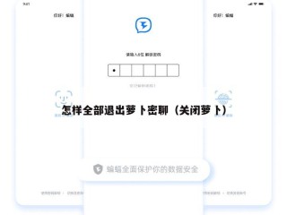 怎样全部退出萝卜密聊（关闭萝卜）