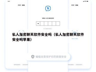 私人加密聊天软件安全吗（私人加密聊天软件安全吗苹果）