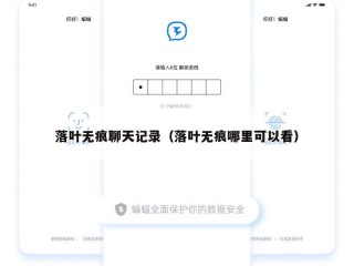 落叶无痕聊天记录（落叶无痕哪里可以看）