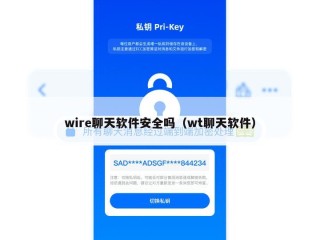 wire聊天软件安全吗（wt聊天软件）