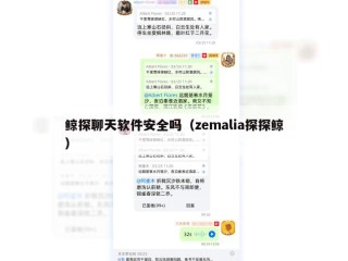 鲸探聊天软件安全吗（zemalia探探鲸）