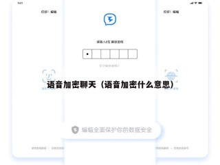 语音加密聊天（语音加密什么意思）