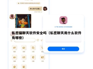 私密猫聊天软件安全吗（私密聊天用什么软件有哪些）
