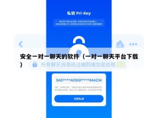 安全一对一聊天的软件（一对一聊天平台下载）