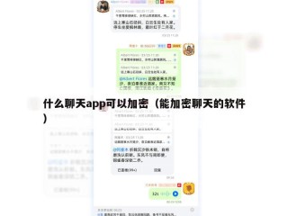什么聊天app可以加密（能加密聊天的软件）
