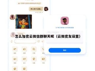 怎么加密云微信群聊天呢（云微密友设置）