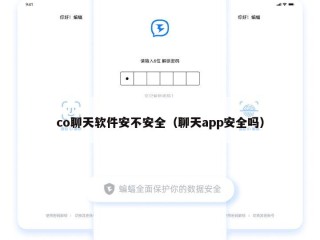 co聊天软件安不安全（聊天app安全吗）