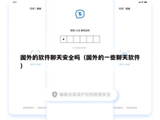 国外的软件聊天安全吗（国外的一些聊天软件）