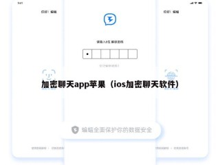加密聊天app苹果（ios加密聊天软件）