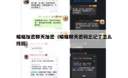 蝙蝠加密聊天加密（蝙蝠聊天密码忘记了怎么找回）