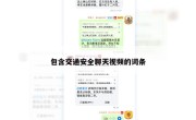 包含交通安全聊天视频的词条