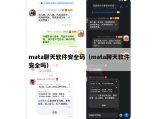 mata聊天软件安全码（mata聊天软件安全吗）
