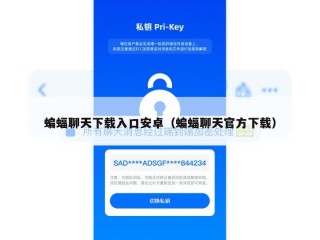 蝙蝠聊天下载入口安卓（蝙蝠聊天官方下载）
