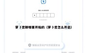 萝卜密聊哪里开始的（萝卜密怎么开启）