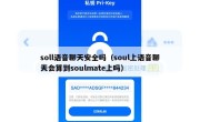 soll语音聊天安全吗（soul上语音聊天会算到soulmate上吗）
