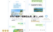 华为下载萝卜密聊怎么弄（萝卜_v10）