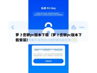 萝卜密聊pc版本下载（萝卜密聊pc版本下载安装）