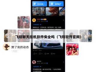飞翔聊天挂机软件安全吗（飞翔软件官网）