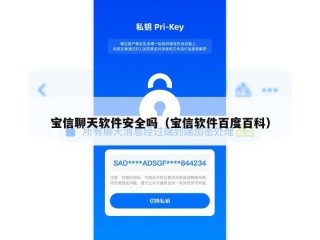 宝信聊天软件安全吗（宝信软件百度百科）