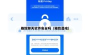 雅致聊天软件安全吗（雅致是啥）