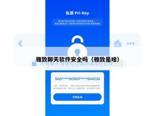 雅致聊天软件安全吗（雅致是啥）