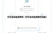 钉钉自动加密聊天（钉钉自动加密聊天功能）