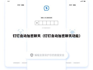 钉钉自动加密聊天（钉钉自动加密聊天功能）