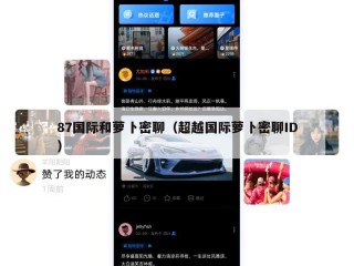 87国际和萝卜密聊（超越国际萝卜密聊ID）