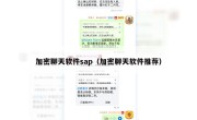 加密聊天软件sap（加密聊天软件推荐）