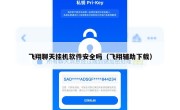 飞翔聊天挂机软件安全吗（飞翔辅助下载）