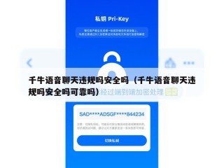 千牛语音聊天违规吗安全吗（千牛语音聊天违规吗安全吗可靠吗）
