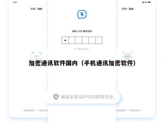 加密通讯软件国内（手机通讯加密软件）