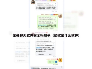 笙哥聊天软件安全吗知乎（笙歌是什么软件）