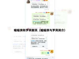 蝙蝠侠和罗宾聊天（蝙蝠侠与罗宾简介）
