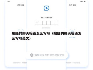 蝙蝠的聊天暗语怎么写呀（蝙蝠的聊天暗语怎么写呀英文）