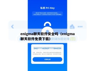 enigma聊天软件安全吗（enigma聊天软件免费下载）