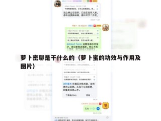 萝卜密聊是干什么的（萝卜蜜的功效与作用及图片）