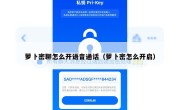 萝卜密聊怎么开语音通话（萝卜密怎么开启）