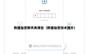 数据加密聊天表情包（数据加密技术图片）