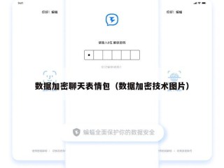数据加密聊天表情包（数据加密技术图片）